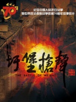 国产精品久久久久av