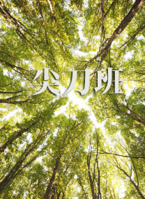 欧美日韩国产系列