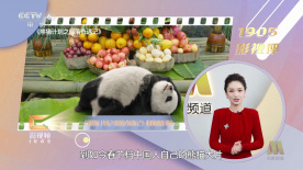 九九99久久精品在免费线bt